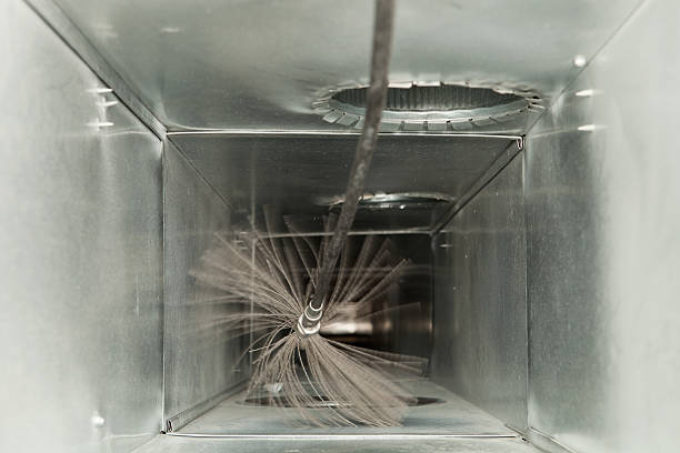 Air Duct Mold Removal in Altoona, AL