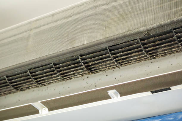 Professional Airduct Cleaning in Altoona, AL